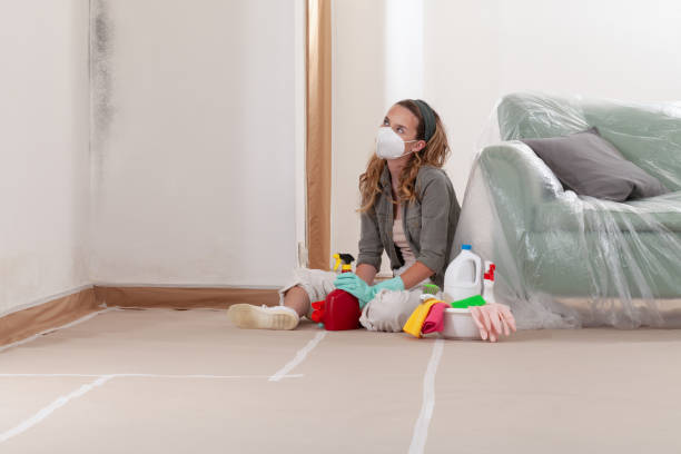 Reliable Black Mold Removal contractor in Succasunna, NJ by WQB Mold Removal